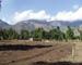 PIC00057