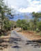 the main road to Ooty